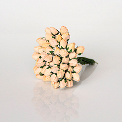 Букет закрытых роз "Светло-персиковый", 25 шт (Craft)