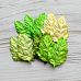 Набор листьев шиповника "Зеленый микс", 20 шт (Craft)