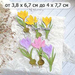 Нож "Первоцветы. Крокусы", 4х7,7 см (ScrapMania)