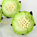 Цветок китайского пиона "Крупные тычинки. Зеленый двухтоновый", 1 шт (Craft)