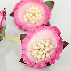 Цветок китайского пиона "Крупные тычинки. Розовый двухтоновый", 1 шт (Craft)