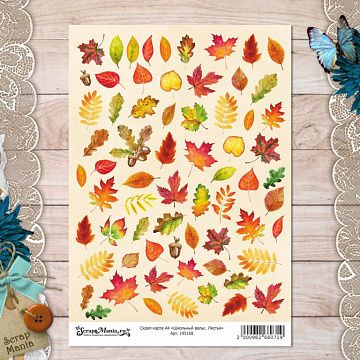 Скрап-карта А4 "Школьный вальс. Листья" (ScrapMania)