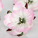 Цветок пиона "Светло-розовый с белым" (Craft)