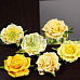 Набор объемных цветов "Лимонные розы"