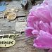 Нож "Старинные вывески", 5,4х6,7 см (MimiCut)
