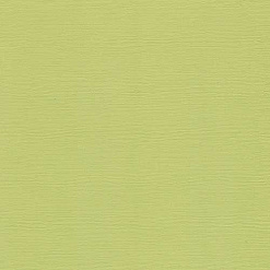 Кардсток текстурированный 30х30 см "Оливковый" (Fleur-design)