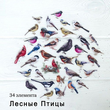 Набор высечек из ткани "Лесные птицы", 5,5х2,5 см, 34 шт (RozeFlowers)