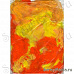 Набор декоративных перьев "Желтые и оранжевые" (Rayher)