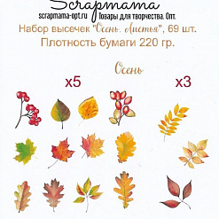 Набор высечек "Осень. Листья", 69 шт (Scrapmama)