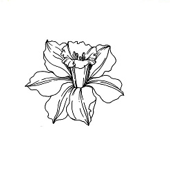 Штамп "Цветок нарцисса", 4х3,6 см (Арт-кладовая)