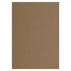 Набор бумаги А4 "Classic. Крафт", плотность 80 гр/м2, 200 листов (Brauberg)