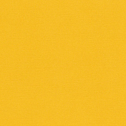 Кардсток с текстурой "Шафраново-желтый", 30х30 см (ScrapBerry's)