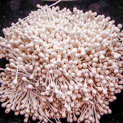 Набор тычинок "Капельки. Бело-розовые", 160 шт (Китай)
