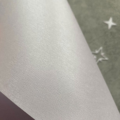Дизайнерская бумага 20х20 см Gmund 925 White Silver