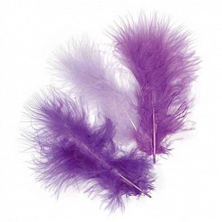 Набор перьев "Марабу. Оттенки фиолетового" (Knorr Prandell)
