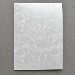 Заготовка для открытки 14,8х21 см с текстурой морозных узоров, цвет белый перламутровый (ScrapMania)