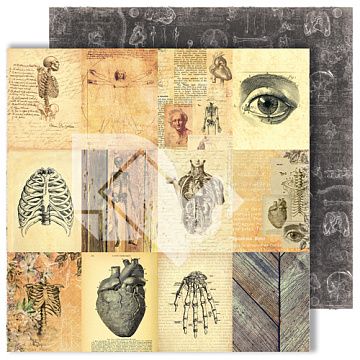 Бумага "Homo sapiens. Карточки" (DreamLight Studio)