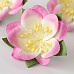 Цветок сакуры "Ярко-розовый с белым" (Craft)