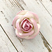 Цветок розы большой "Светло-розовый с белым" (Craft)