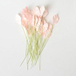 Набор листьев розы на стебельке "Светлые розово-персиковые. Мини", 20 шт (Craft)
