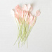Набор листьев розы на стебельке "Светлые розово-персиковые. Мини", 20 шт (Craft)