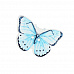 Пуговица деревянная "Бабочка голубая" (АртУзор)