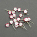 Набор мини-цветочков "Красные с белым", 20 шт (Craft)