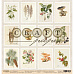 Бумага "Ароматы леса. Карточки" (CraftPaper)