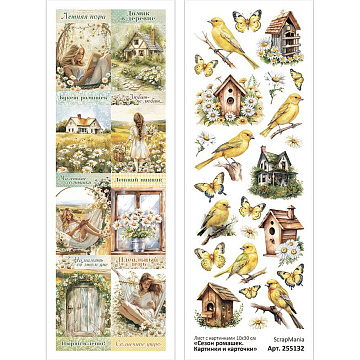 Лист с картинками 10х30 см "Сезон ромашек. Картинки и карточки" (ScrapMania)