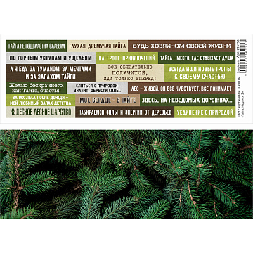 Лист с картинками 10х30 см "Тайга. Надписи 2" (ScrapMania)