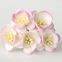 Букет цветов вишни "Белый со светло-розовым", большие, 5 шт (Craft)