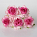 Букет больших кудрявых роз "Двухтоновый розовый 2", 5 шт (Craft)