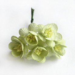 Букет цветочков вишни "Светло-зеленые", 5 шт (Fleur-design)