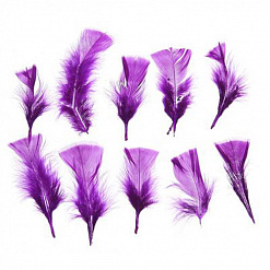 Набор перьев "Фиолетовый"