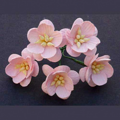 Букетик цветков вишни "Розовый", 5 шт (Impresse)