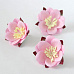Цветок сакуры "Пастельный розовый" (Craft)