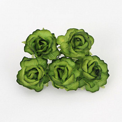 Букет больших кудрявых роз "Зеленый", 5 шт (Craft)
