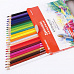 Набор акварельных карандашей "Академия", 24 цвета (Brauberg)