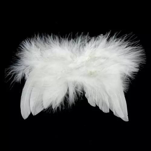 Крылья белые из перьев 70 х 85 см